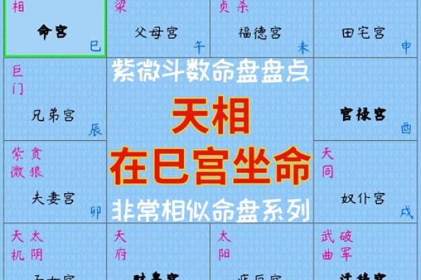 2025年2月27日子时男命紫微斗数全解盘 2025年2月27日子时男命紫微斗数全解盘