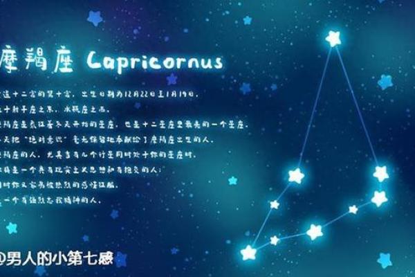 摩羯座女生适合什么星座男生_十二星座