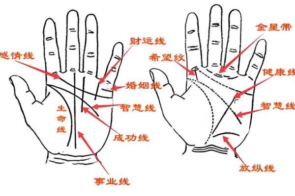 《手相学习百科》：手相健康记号