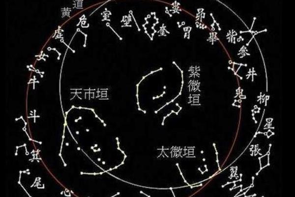 紫薇斗数星盘名称