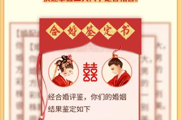 网上合八字