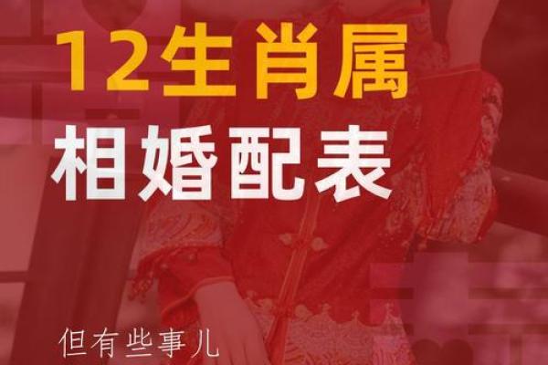 十二生肖属蛇的配对