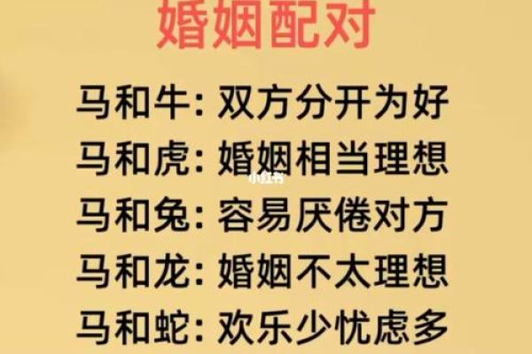 生肖配对 十二生肖最佳配对表格