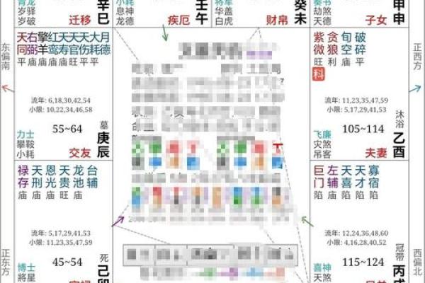适合外地创业紫薇斗数