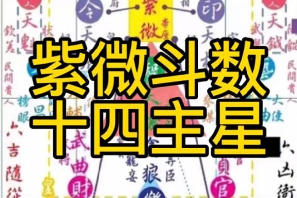 紫薇斗数中什么是拱