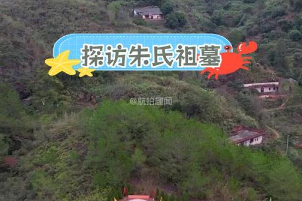 新坟地怎么看出好风水