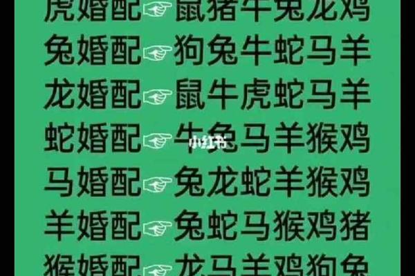 2005年属什么生肖配对最好,2005年属鸡的属相婚配表