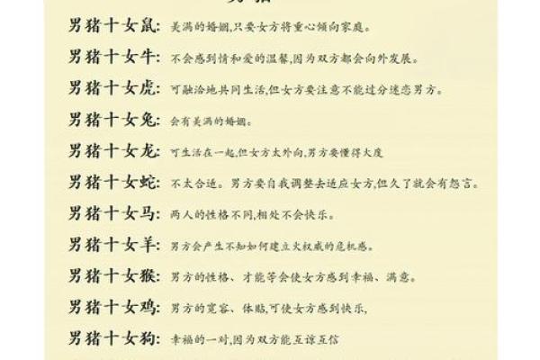 十二生肖配对表