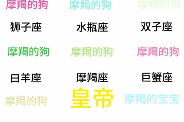 摩羯座和什么座最配？摩羯座最配星座第一名是谁？
