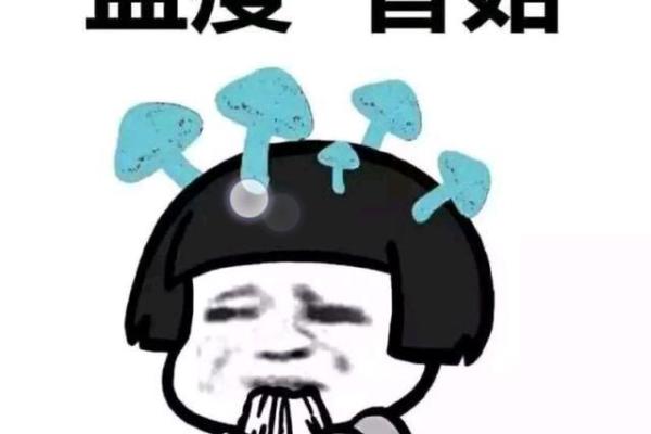 蓝瘦香菇时，12星座谁最能忍