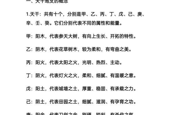 零基础学习快速算命