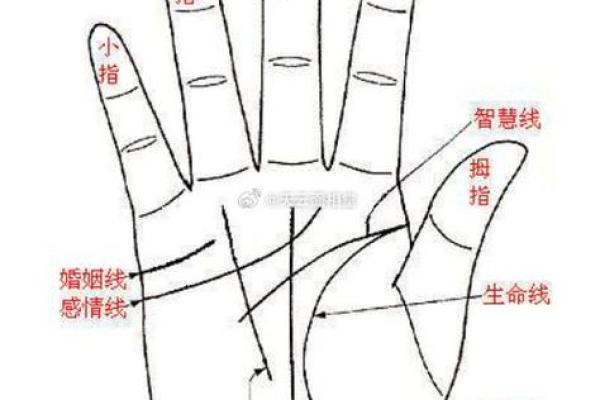 《手相学习百科》：手相看爱情