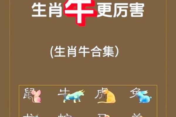牛跟什么生肖配对最好 生肖牛最佳配对