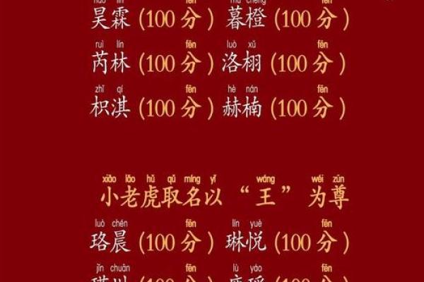 晚上1点出生的属虎男孩如何起名，用什么字姓名