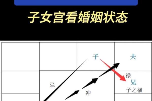 赵雅芝紫薇斗数