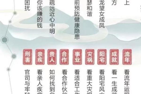 哪种命相八字的人适合学算命