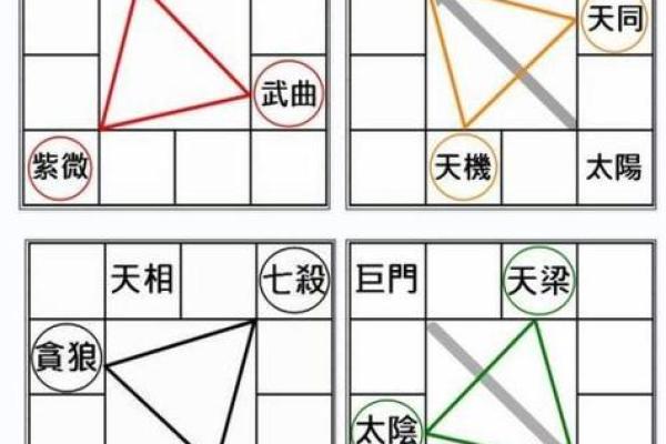 唐艺尹老师：紫薇斗数主星解释