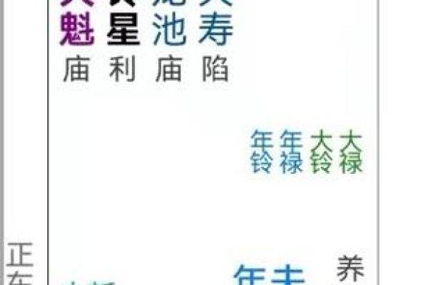 紫薇斗数龙池入命