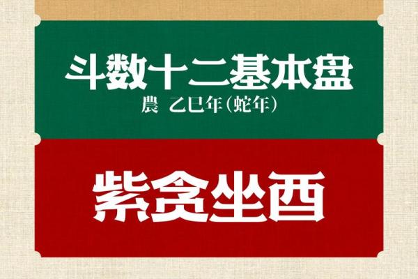 你相信紫薇斗数吗