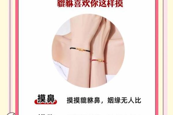 八字弱的人能戴貔貅