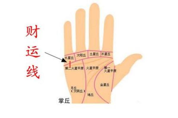 《手相学习百科》：手相看财运和好运