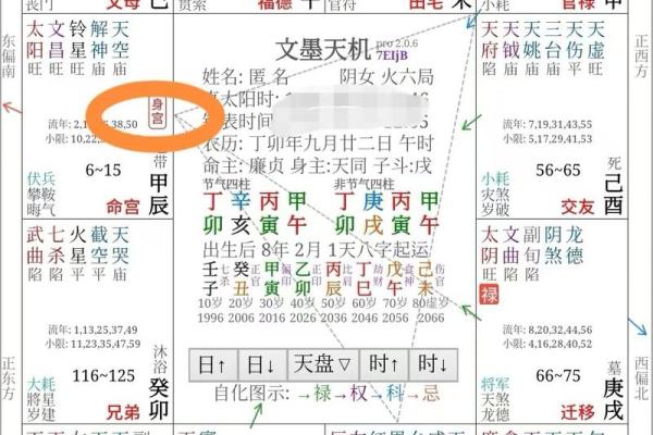 紫薇斗数下载软件
