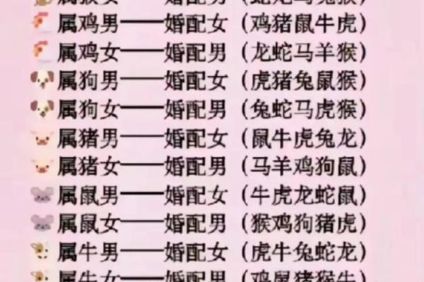生肖马的姻缘配对，哪些生肖最合适？