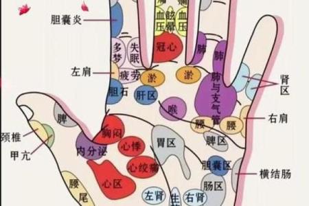 《手相学习百科》：手相健康记号