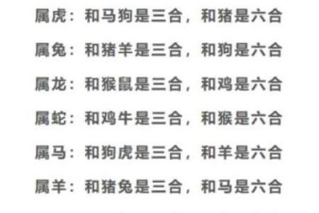 网上合八字