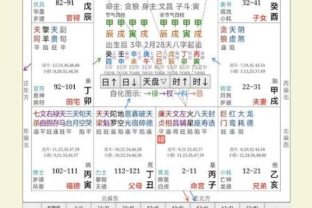 适合外地创业紫薇斗数