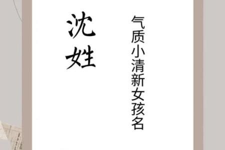 沈姓女孩名字大全-沈姓女孩起名字大全-沈姓名字大全姓名