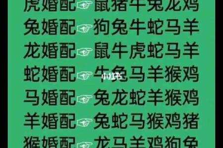 2005年属什么生肖配对最好,2005年属鸡的属相婚配表