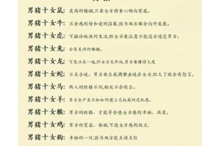 十二生肖配对表