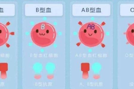从血型看出你的花钱习惯