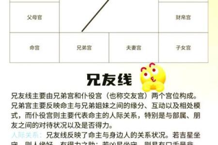 紫薇斗数看行运