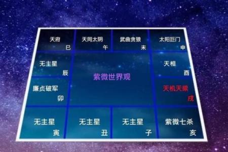 紫微斗数紫薇天府入命宫
