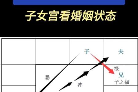 赵雅芝紫薇斗数