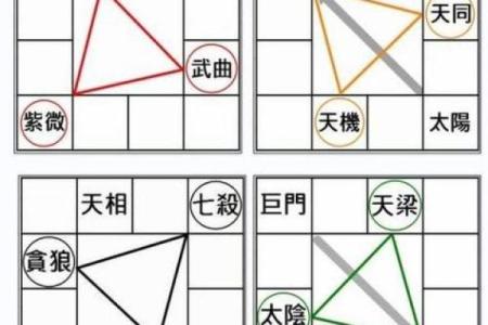 唐艺尹老师：紫薇斗数主星解释