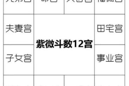 紫薇斗数龙池入命