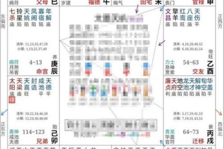 紫薇斗数命宫原理