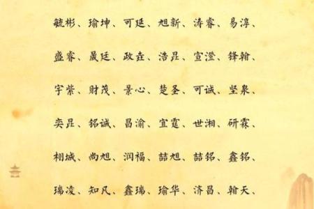 2019年6月25号卯时出生的男孩起名时要注意什么姓名