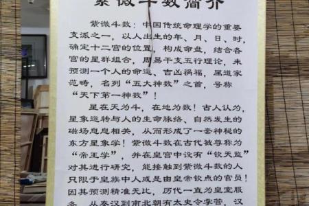 紫薇斗数下载软件