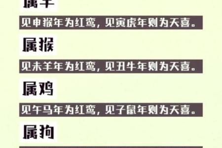 属猴大富大贵的吉日出生 什么时辰出生的属猴人最好