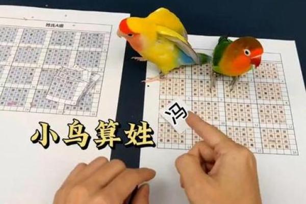 抽签算命姻缘