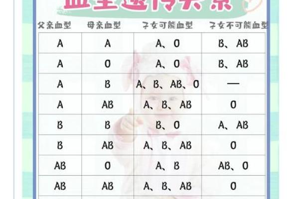 血型与健康有什么关系