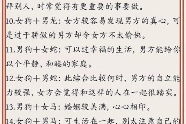 鼠狗生肖配对姻缘合适吗 鼠狗婚配的婚姻如何？