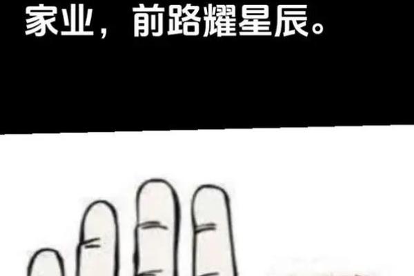 《手相学习百科》：命运线