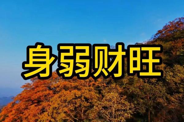 八字水为财