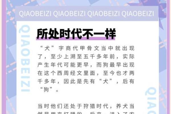 【详解八字合婚狗和狗，看看他们的姻缘指数！】