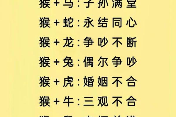 十二属相生肖配对姻缘查询